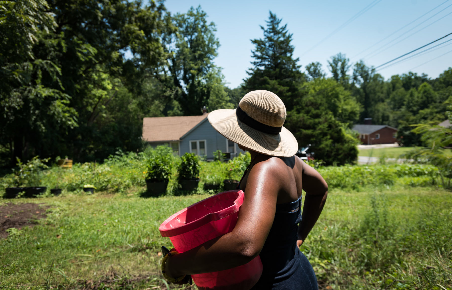 Mother's Finest Urban Family Farms